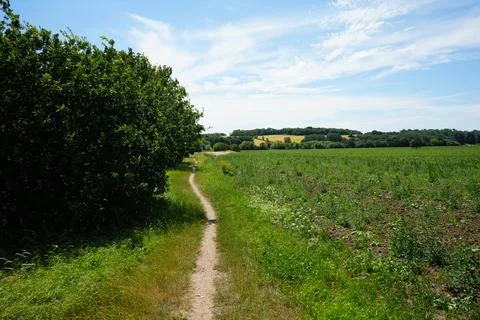 Winding Dirt Path Through Green Fields And Trees In Morton, Nottinghamshire, Stock-Fotos