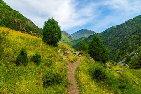 Winding Dirt Path Through Lush Mountain Valley in Kyrgyzstan 库存照片
