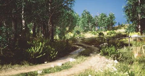 Winding dirt path through vibrant greenery under clear blue sky Stock Illustration