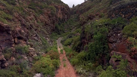 Winding Dirt Path Through Volcanic Ravine in San Miguel de Abona, Tenerife Stock Footage 338180816