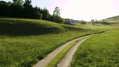 A winding dirt road leads through a verdant meadow under a bright summer sky, Stock Footage 259074205