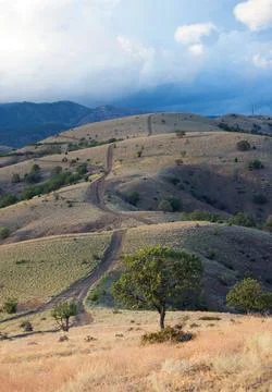 Winding Dirt Road Through Rolling Hills 库存照片