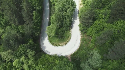 Winding empty mountian country road in forest trees, aerial view Видео 320467490