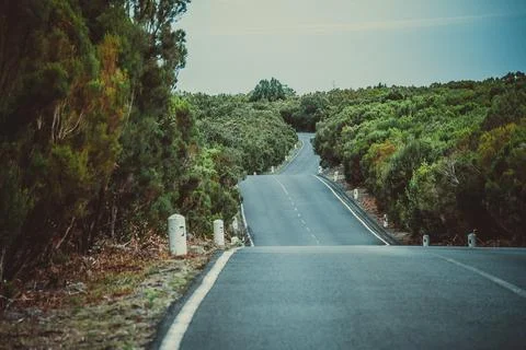Winding empty road through lush green landscape on Madeira during roadtrip Stock Photos