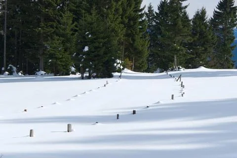 Winding Fence Posts Creating a Line in Pristine Snow Stock-Fotos