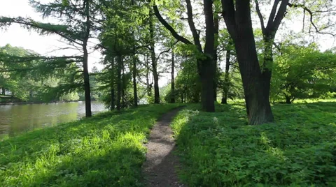 Winding footpath, sunny day 스톡 동영상 36174830