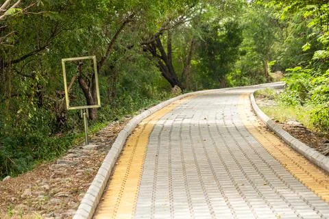 A Winding Footpath Through Lush Greenery Stock Photos