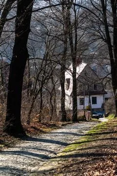 Winding forest path to house in winter woods Stock Photos