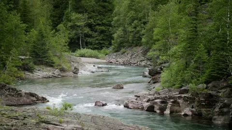 Winding Forest River Vídeos de archivo 10857646