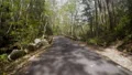 winding forest road crosses bridge rocky river 4k or 4k+ Resolution