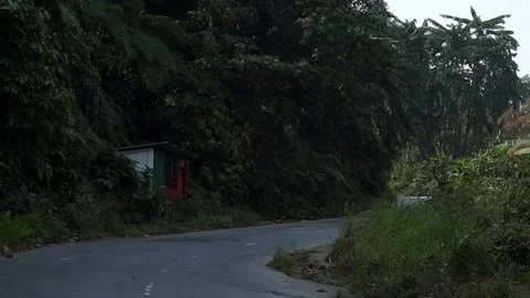 Winding Forest Road with Small Roadside Shelter Stock Footage 328825164