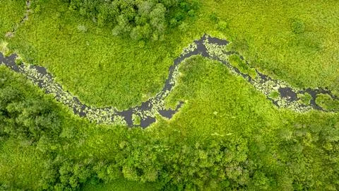 Winding forest stream surrounded by green trees, Polish aerial view. Stock Photos