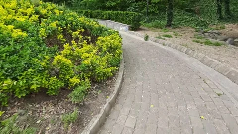 Winding garden path through lush greenery Vidéo 310408946