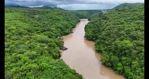 Winding Guayabero River Surrounded by Lush Greenery Video stock 336563234