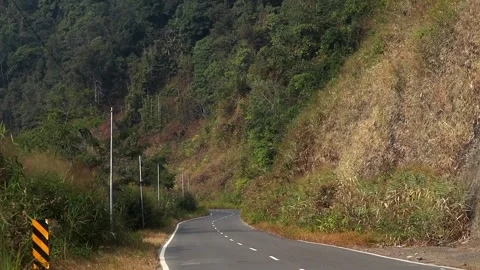 Winding Hill Road Surrounded by Forest and Dry Grass Stock Footage 329841709