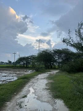 Winding Lane Through Green Fields Stock Photos