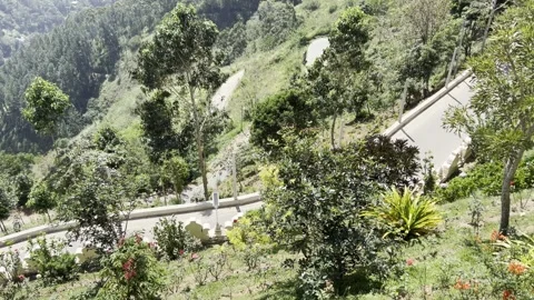 Winding Mountain Road and Valley View in Ella Sri Lanka Video stock 331665309