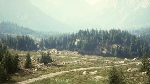 Winding mountain road over alpine meadows at the edge of the forest Ilustração Stock