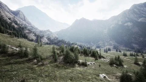 Winding mountain road over alpine meadows at the edge of the forest Ilustração Stock