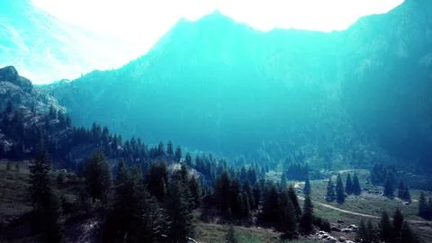 Winding mountain road over alpine meadows at the edge of the forest Ilustração Stock