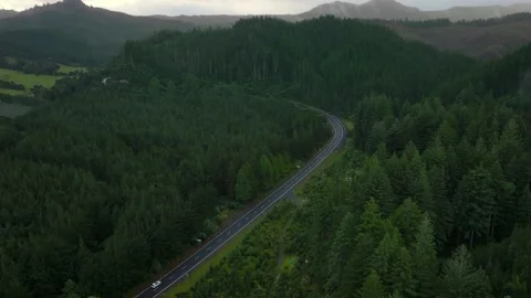 A Winding Mountain Road runs through Forest Hills. Video stock 189580191