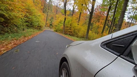 Winding mountain road seen from inside a car with dense autumn trees and fa.. Stock Footage 325725239