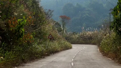 Winding mountain road surrounded by dense forest and greenery Stock Footage 329175403