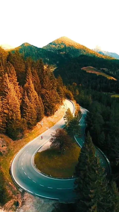 Winding Mountain Road Through Autumn Forest at Sunset Stock Footage 337322900