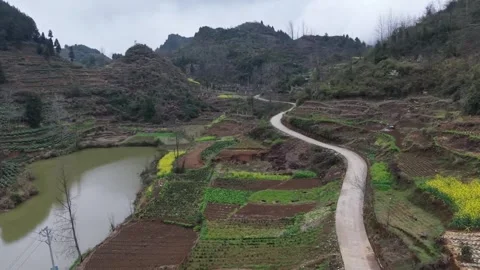 Winding Mountain Road through Canola Fields in Chinese Countryside Stock Footage 332522656