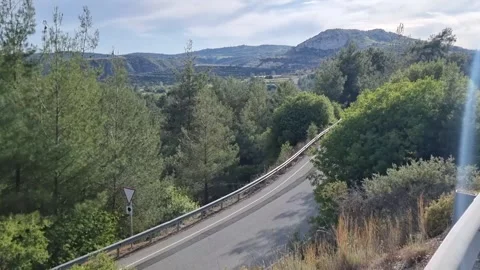 Winding mountain road through Cyprus pine forests Video stock 328098452