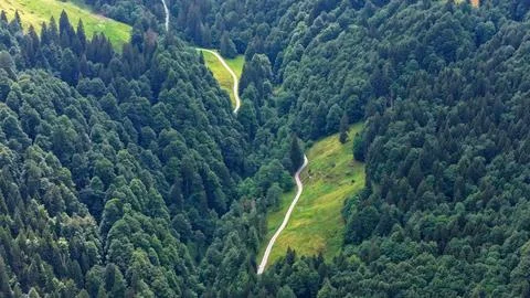 Winding Mountain Road Through Dense Swiss Alpine Forest Stock Photos