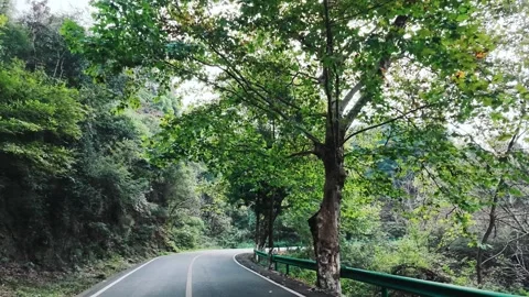 Winding Mountain Road Through Forest in Slow Motion, Lushan Stock-Footage 346700577