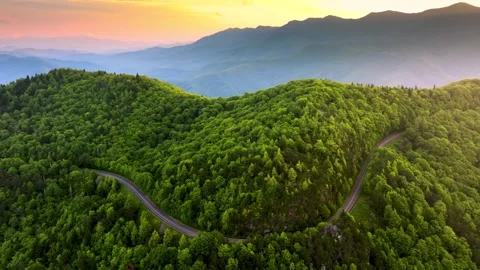 Winding mountain road through green forest at golden sunset Stock-Footage 341328356