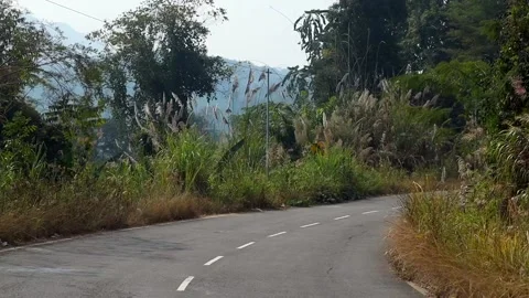 Winding Mountain Road Through Lush Vegetation Stock Footage 329175257