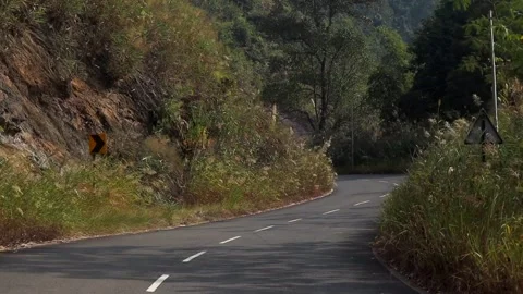 Winding Mountain Road Through Lush Hillside Vegetation Stock Footage 329840054
