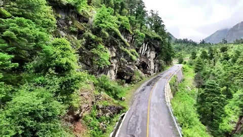 Winding Mountain Road Through Lush Green Forest and Rocky Slopes Tibet China 動画素材 346738098