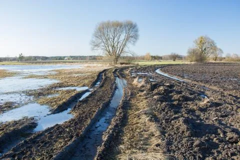 Winding muddy road through fields flooded after rain, tree on the horizon Stock Photos