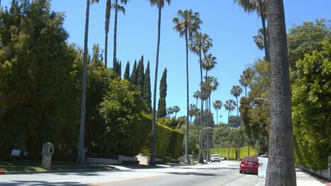 Winding Palm Tree Lined Street in Beverly Hills with Car Stock Footage 131190029
