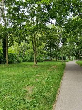 Winding park path with green trees Fotos de archivo