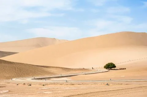 A winding path in the desert Stock Photos