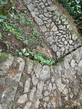 Winding path on the edge of a cliff Stock Photos