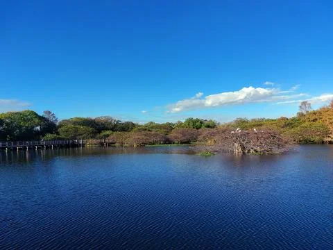 The Winding Path: Elevated Boardwalk and Gazebos at Wakodahatchee Wetlands Fotos Stock