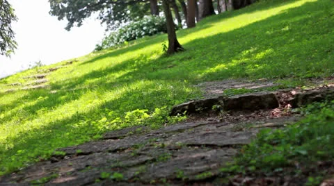 A Winding Path Stock Footage 25328741