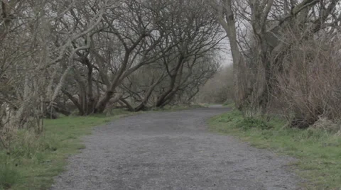 Winding path Stock Footage 48939934