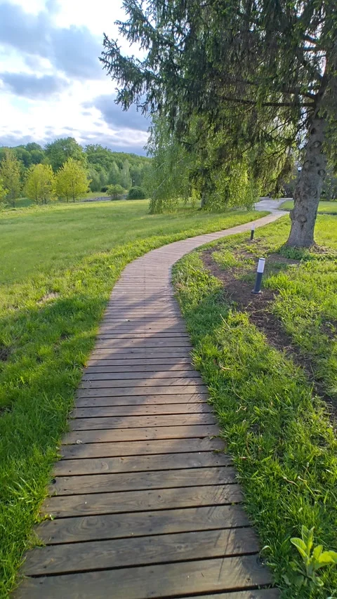 A winding path on a green lawn. Stock-Footage 310633008