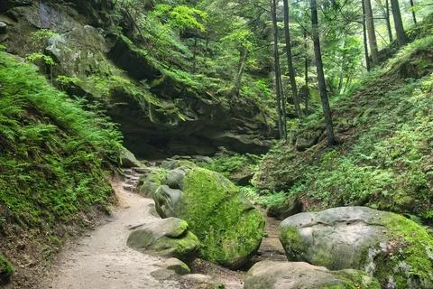 Winding Path at Hocking Hills Stock Photos