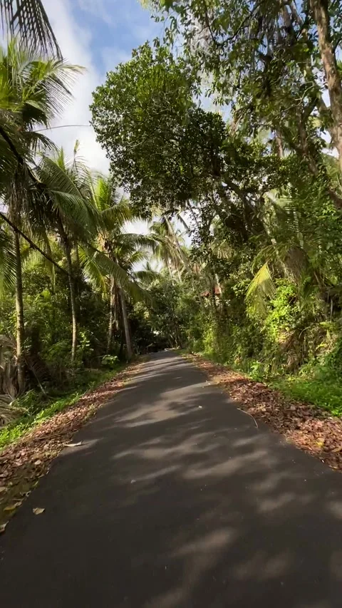 Winding path in the jungle Video stock 283816547