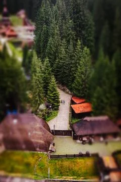 A winding path leads to cabins surrounded by lush green forest trees Stock Photos