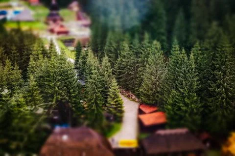 A winding path leads to cabins surrounded by lush green forest trees Stock Photos