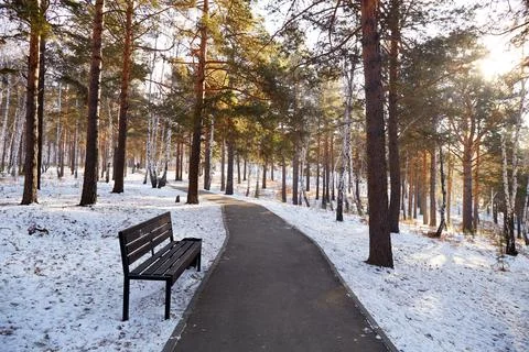 A winding path leads through a quiet forest covered with snow. Stock Photos